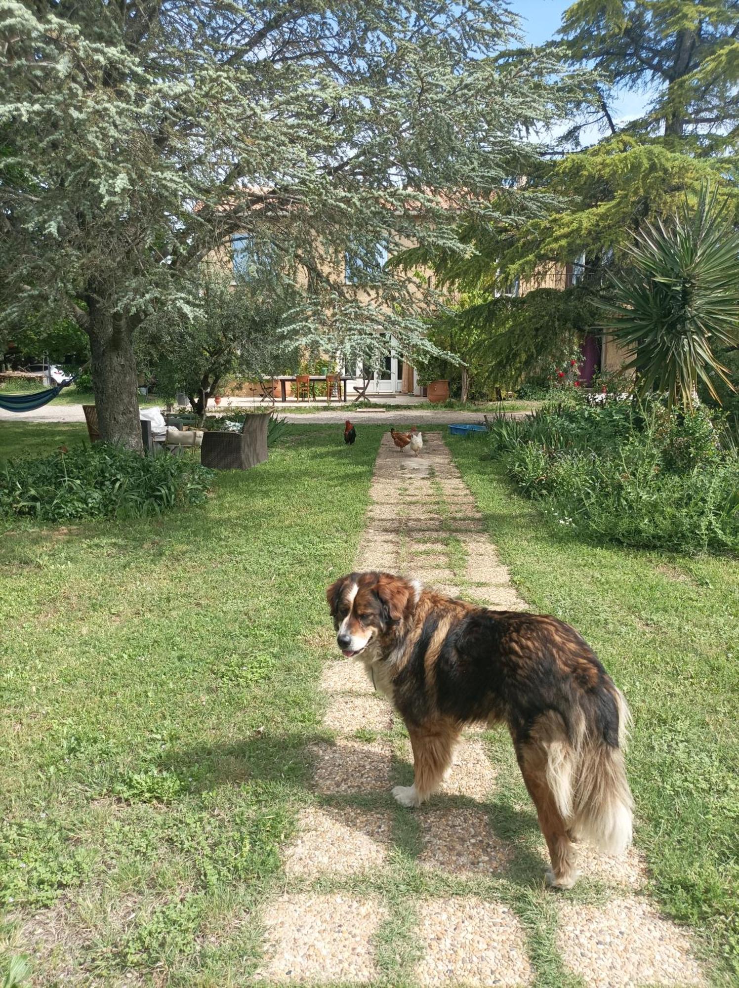 Chambre D'Hotes Les Garrigues ピオラン エクステリア 写真