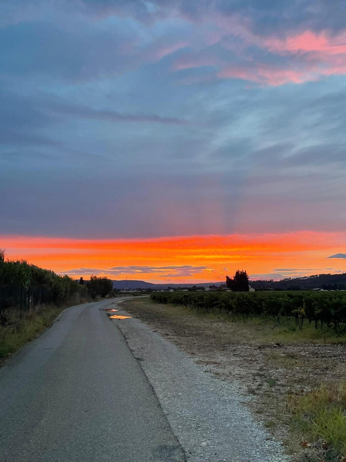 Chambre D'Hotes Les Garrigues ピオラン エクステリア 写真