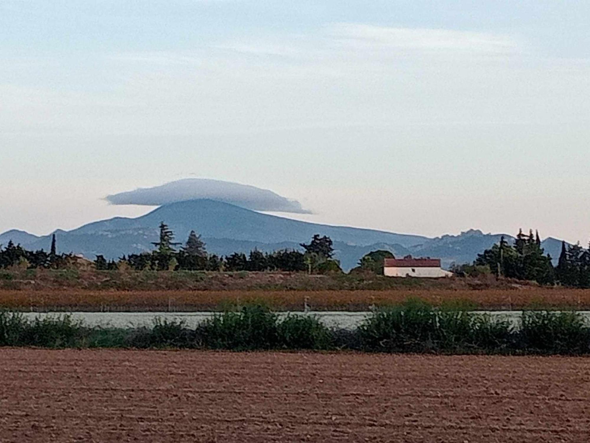 Chambre D'Hotes Les Garrigues ピオラン エクステリア 写真